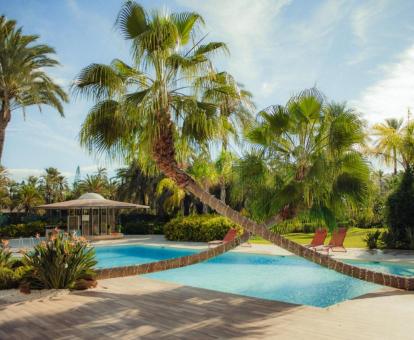 Preciosa piscina rodeada de vegetación de este hotel con encanto.