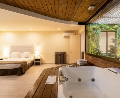 Foto del jacuzzi que se encuentra en el dormitorio y con vistas al jardín y zonas comunes del apartamento en los Apartamentos DV