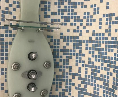 Foto de la ducha de hidromasaje de la Luxury Villa Madrid