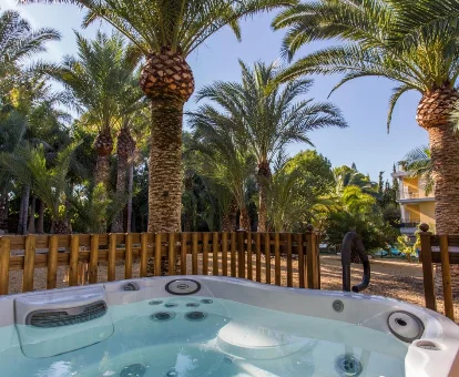 Foto del jacuzzi que se encuentra en los Apartamentos El Palmeral de Madaria