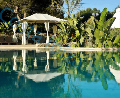 Foto de la piscina con toldo y decoración vegetal de la casa Costa Ibiza Villa
