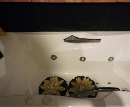 Foto de la bañera de hidromasaje con nenúfares de la Habitación con garage 