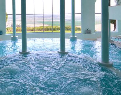 Foto de la piscina de hidroterapia del spa con vistas a la naturaleza.