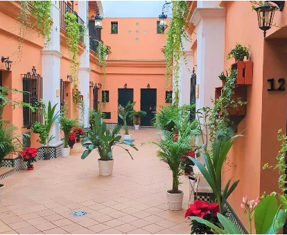 Patio de la casa rural Flamingo en El Rocío