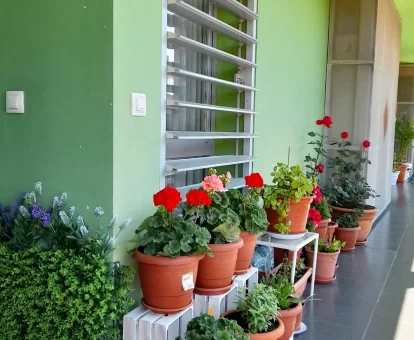 Alojamiento para adultos Armonía y Tranquilidad en Albacete