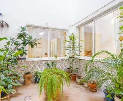 Jardín del apartamento Cinesros Flat en Valencia. Alojamiento solo para adultos