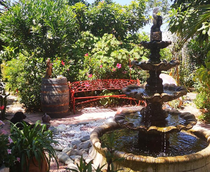 Jardín del apartamento Costa Tropical Oasis en Motril