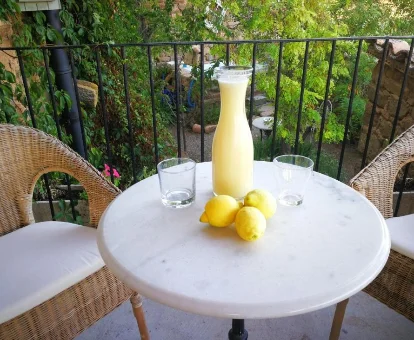 Terraza del alojamiento La casa dels ocells en Granollers de Florejacs