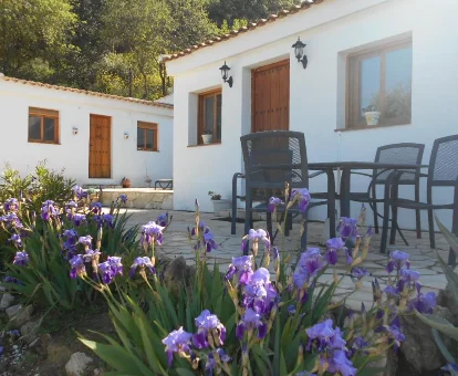 Casa para adultos, La Casita De Campo, La Carrera de la Viña