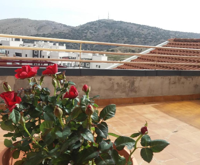 Terraza de los apartamentos con servicios de spa Las Golondrinas en Soria