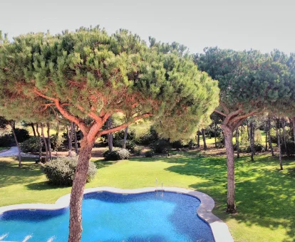 Piscina al aire libre rodeada de árboles en Hotel Nuevo Portil Golf