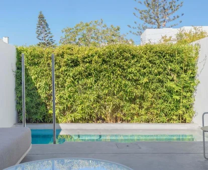 Piscina al aire libre del hotel W Ibiza con spa en Santa Eularia des Riu