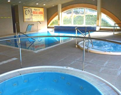 Foto del amplio spa con piscina cubierta con chorros y jacuzzi.