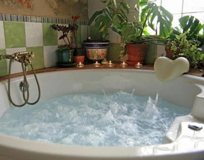 Foto del maravilloso jacuzzi de esta casa rural de estilo rústico.