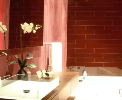 Foto de la bañera de hidromasaje del Hotel Bodega Pago del Vicario 
