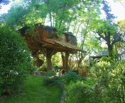 Maravillosa cabaña de madera rodeada de una espesa mata de árboles.
