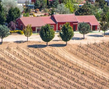 Vista aérea de este alojamiento rural con viñedos.