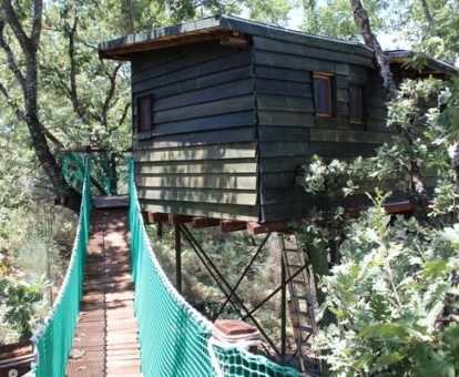 Coqueta cabaña sobre los árboles con puente colgante.