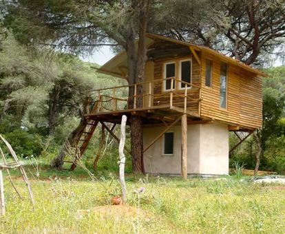 Bonita bio-casa de madera entre árboles ideal para parejas.