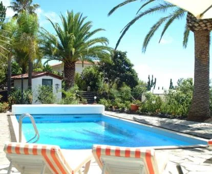 Amplia zona exterior con piscina rodeada de jardines de este establecimiento.