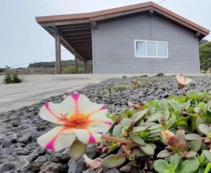 Acogedora casita de madera con terraza y mobiliario exterior.