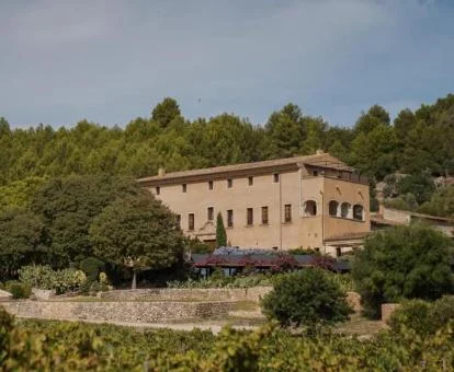 Edificio de este hermoso hotel rodeado de vegetación, perfecto para descansar.