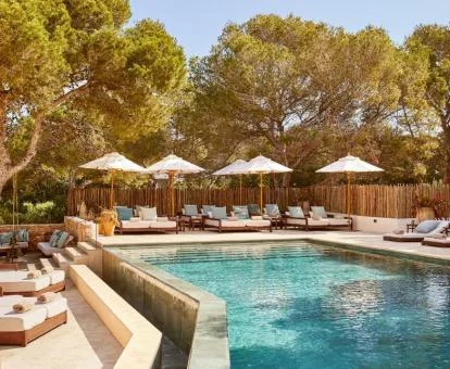 Preciosa zona exterior del hotel con piscina y tumbonas rodeada de vegetación.